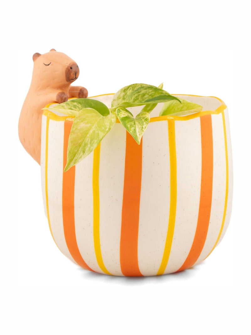 Sass & Belle orange peeking capybara planter, UK version