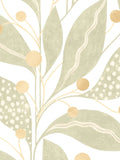 Ohpopsi Russet Berry Dot Soft Sage Wallpaper Sample A4