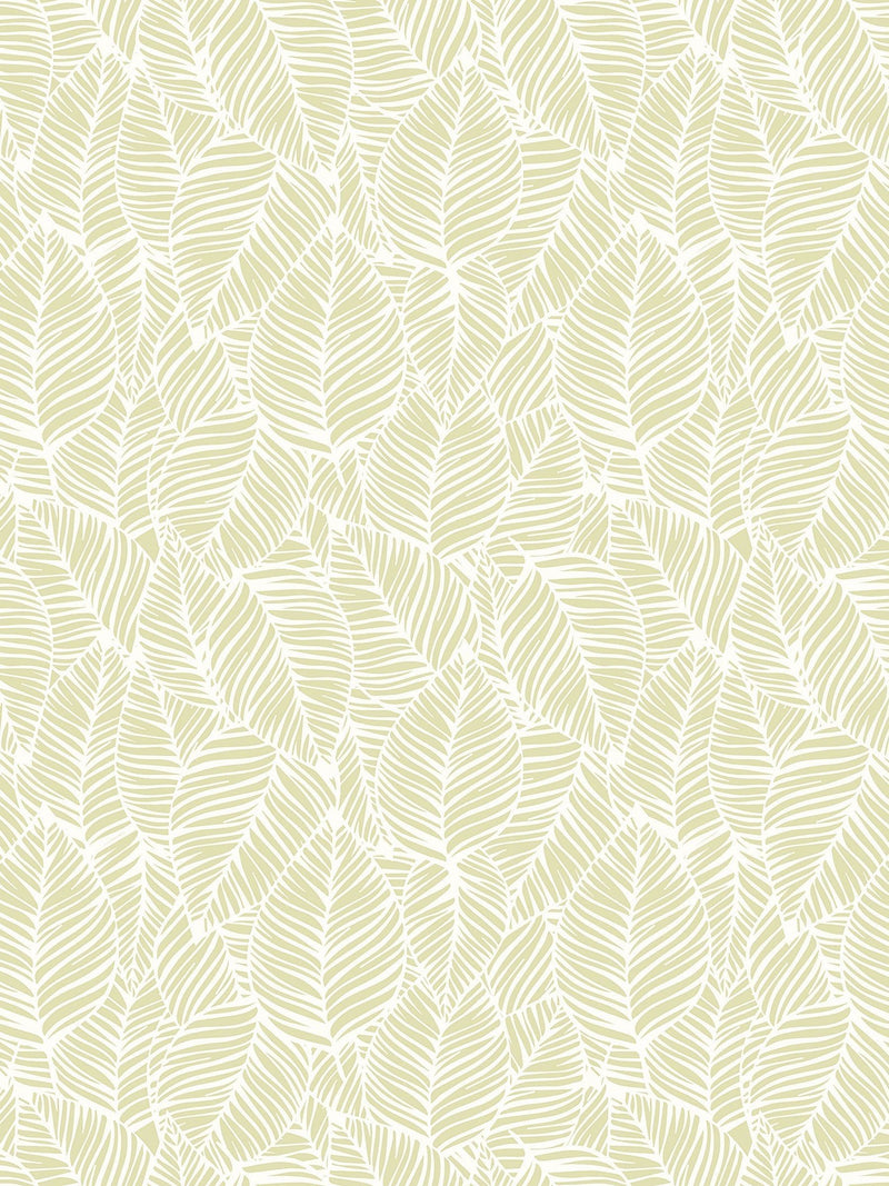 Hoopla Walls Soft Lime Zebra Leaf Linen 10M Wallpaper