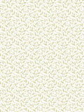 Hoopla Walls Sage Dotty Vine 10M Wallpaper