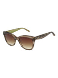 Ted Baker Ariela 1808 Brown/Red Sunglasses
