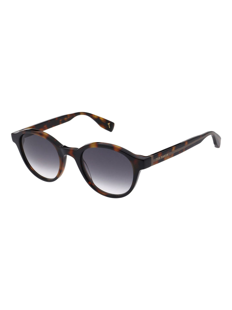 Ted Baker Brown Eddie 1800 Sunglasses