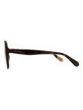 Ted Baker Brown Emilia 1811 Sunglasses