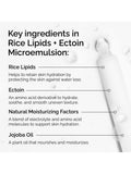 The Ordinary Rice Lipids Microemulsion, imported from the UK