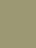Graham & Brown Military Operation Resistance matt emulsion paint, imported from the UK