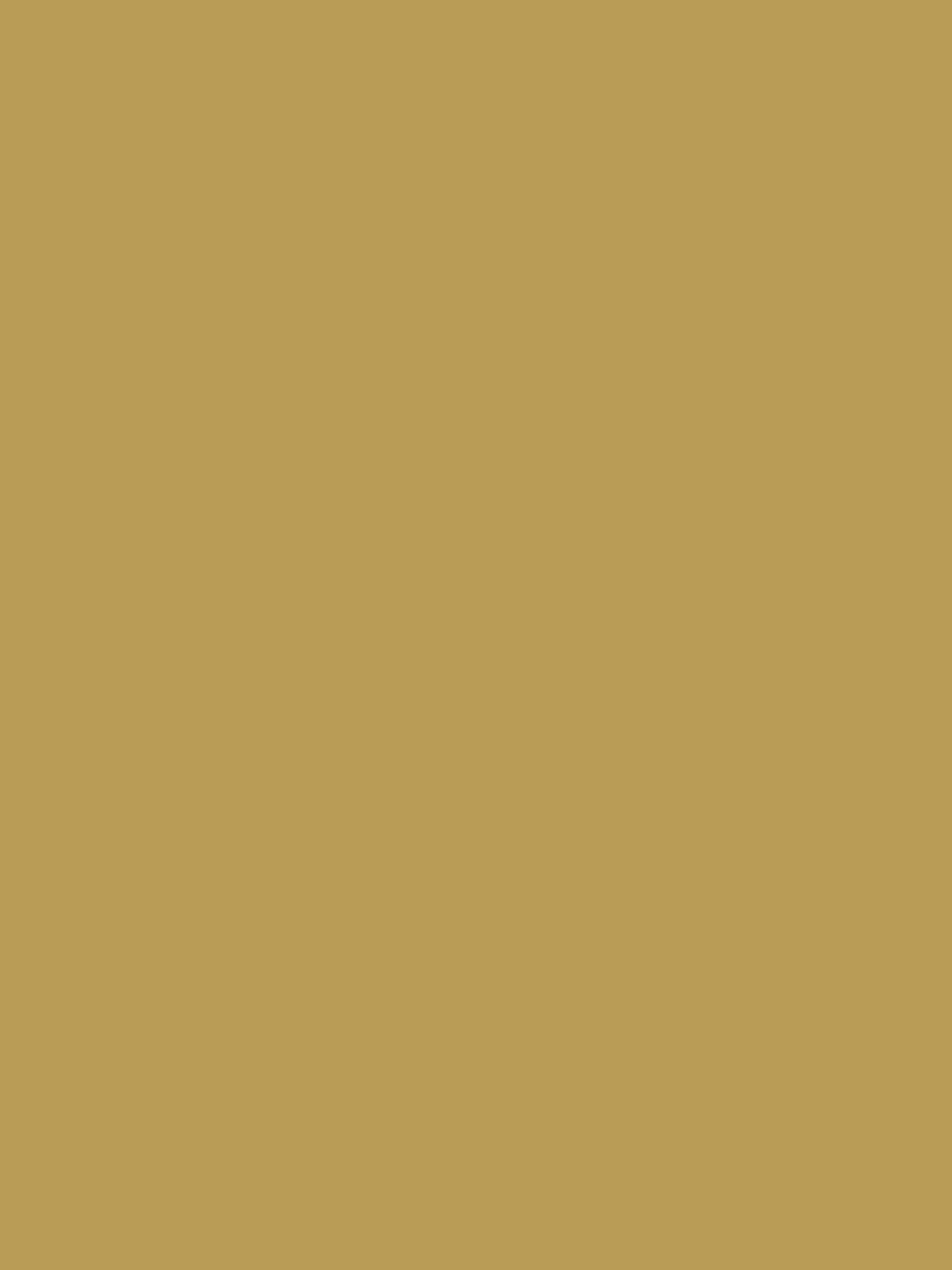 Graham & Brown Burnt Saffron paint - British product