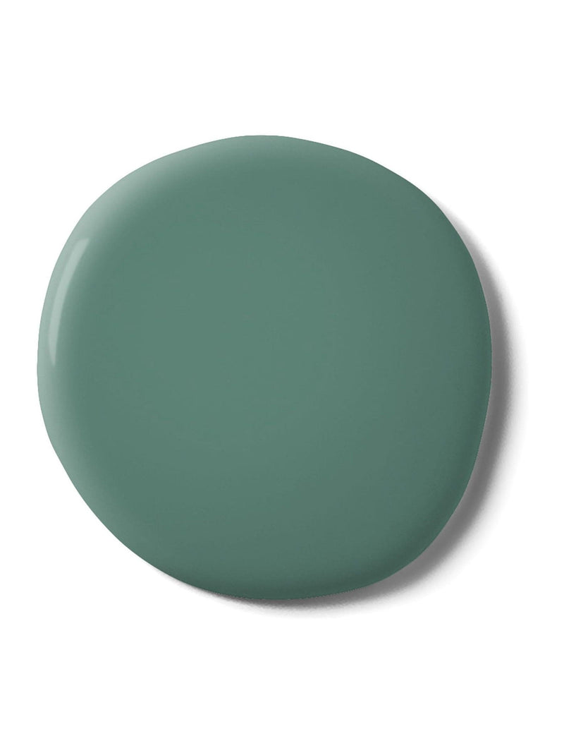 Graham & Brown Daintree Resistance Matt emulsion paint, imported from the UK