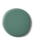 Graham & Brown Daintree Resistance Matt emulsion paint, imported from the UK