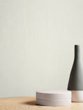Graham & Brown Ginger Lily matt emulsion paint (British brand)