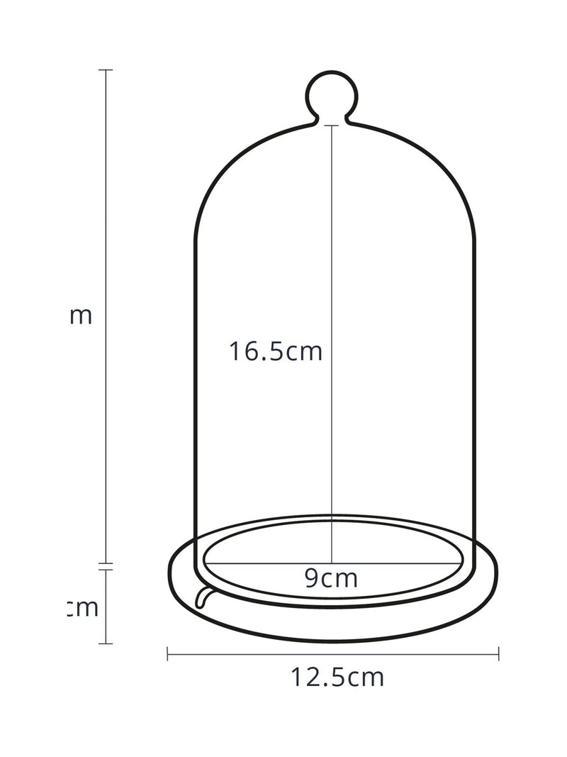 Lights4fun clear glass dome bell jar 20cm with wood base, UK version