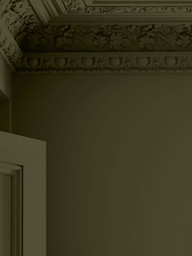 Laura Ashley olive matt emulsion paint 5L, UK version