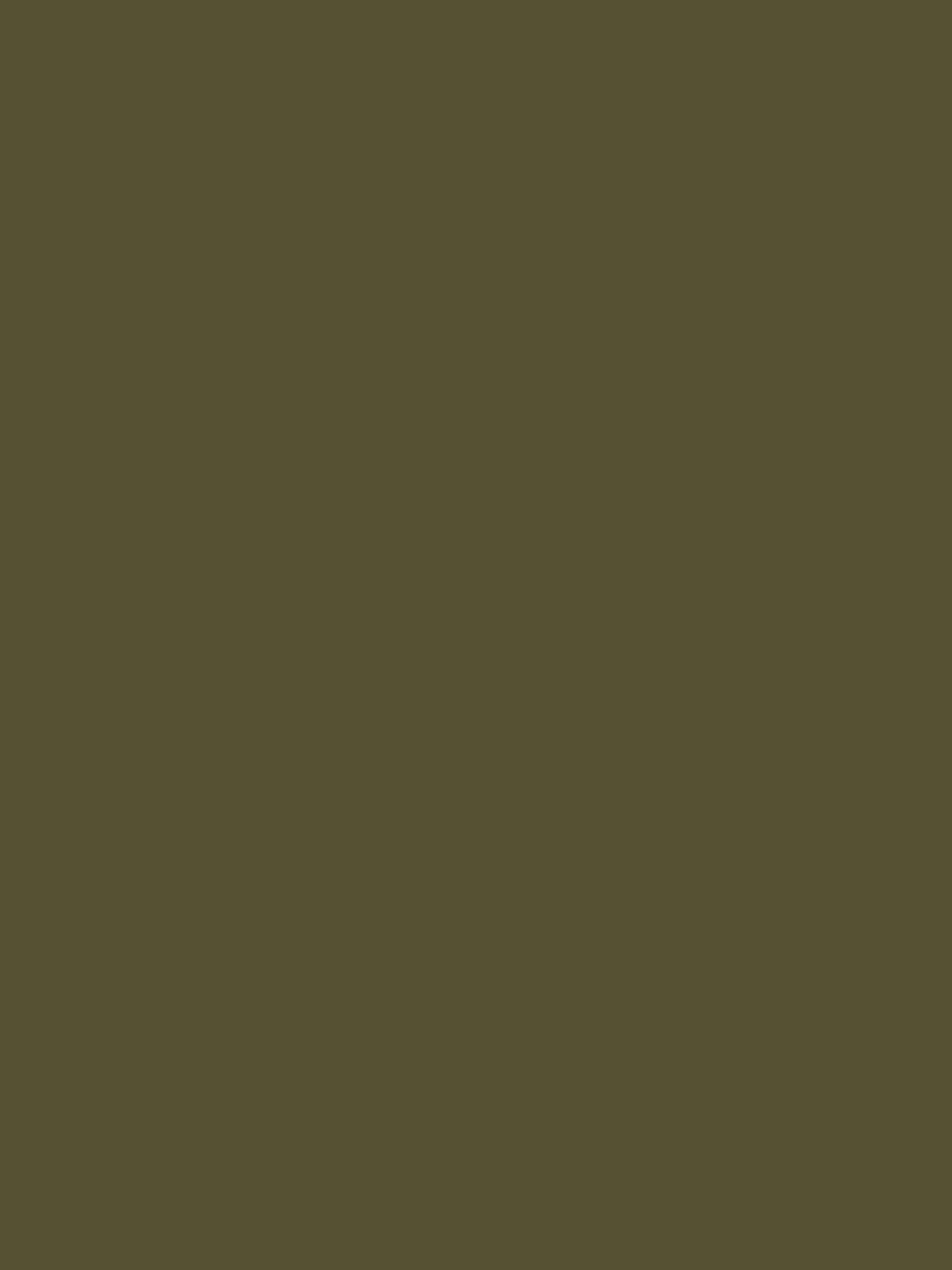 Laura Ashley olive matt emulsion paint 5L, UK version
