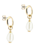 Karen Millen modern pearl drop earrings gold tone, UK version