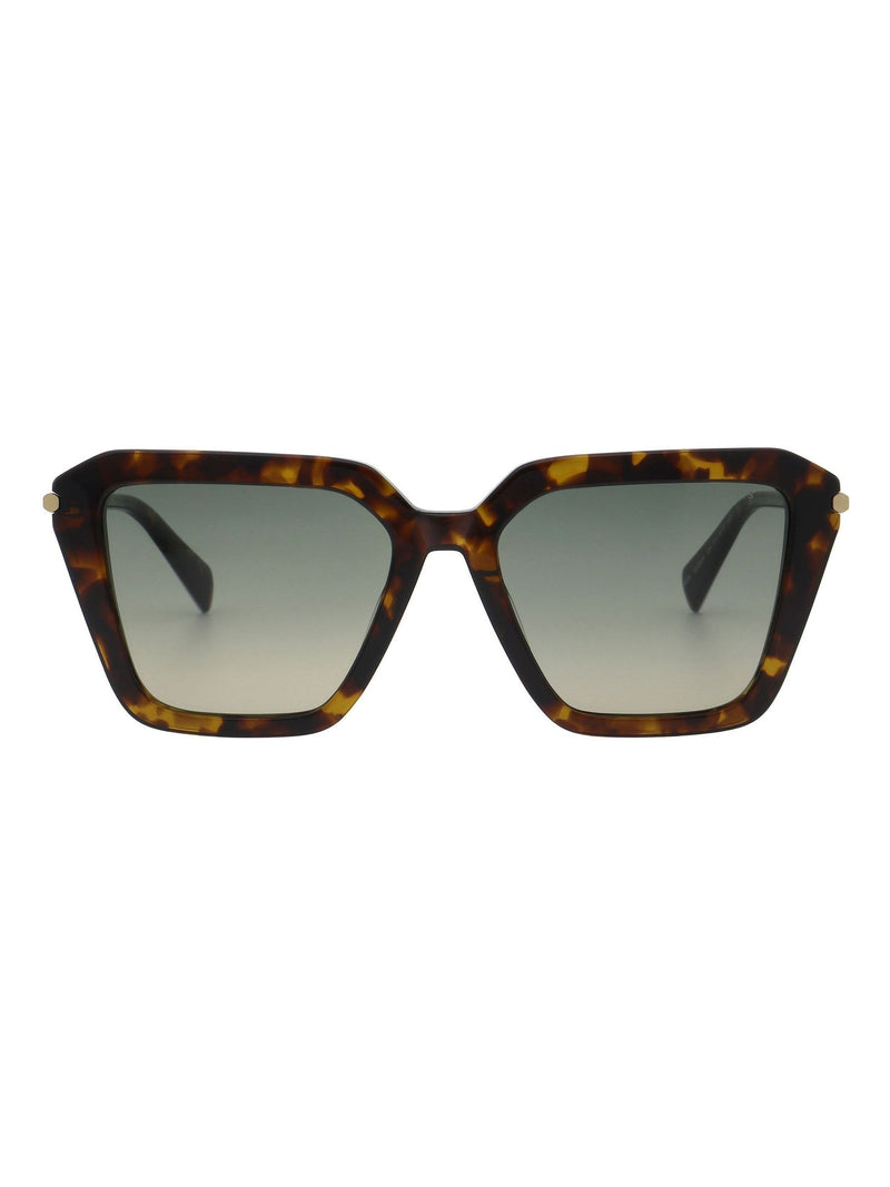 AllSaints square tortoiseshell sunglasses with khaki gradient lenses (British brand)
