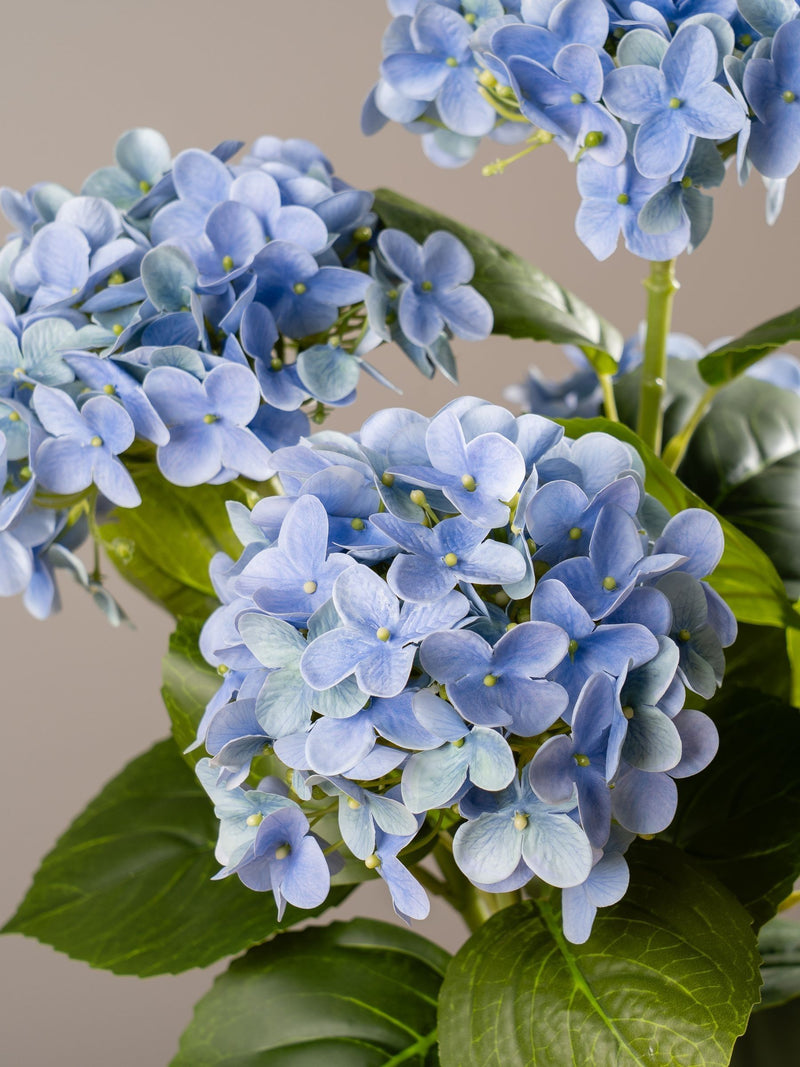 Scottish Everlastings faux blue hydrangea 53cm (British brand)