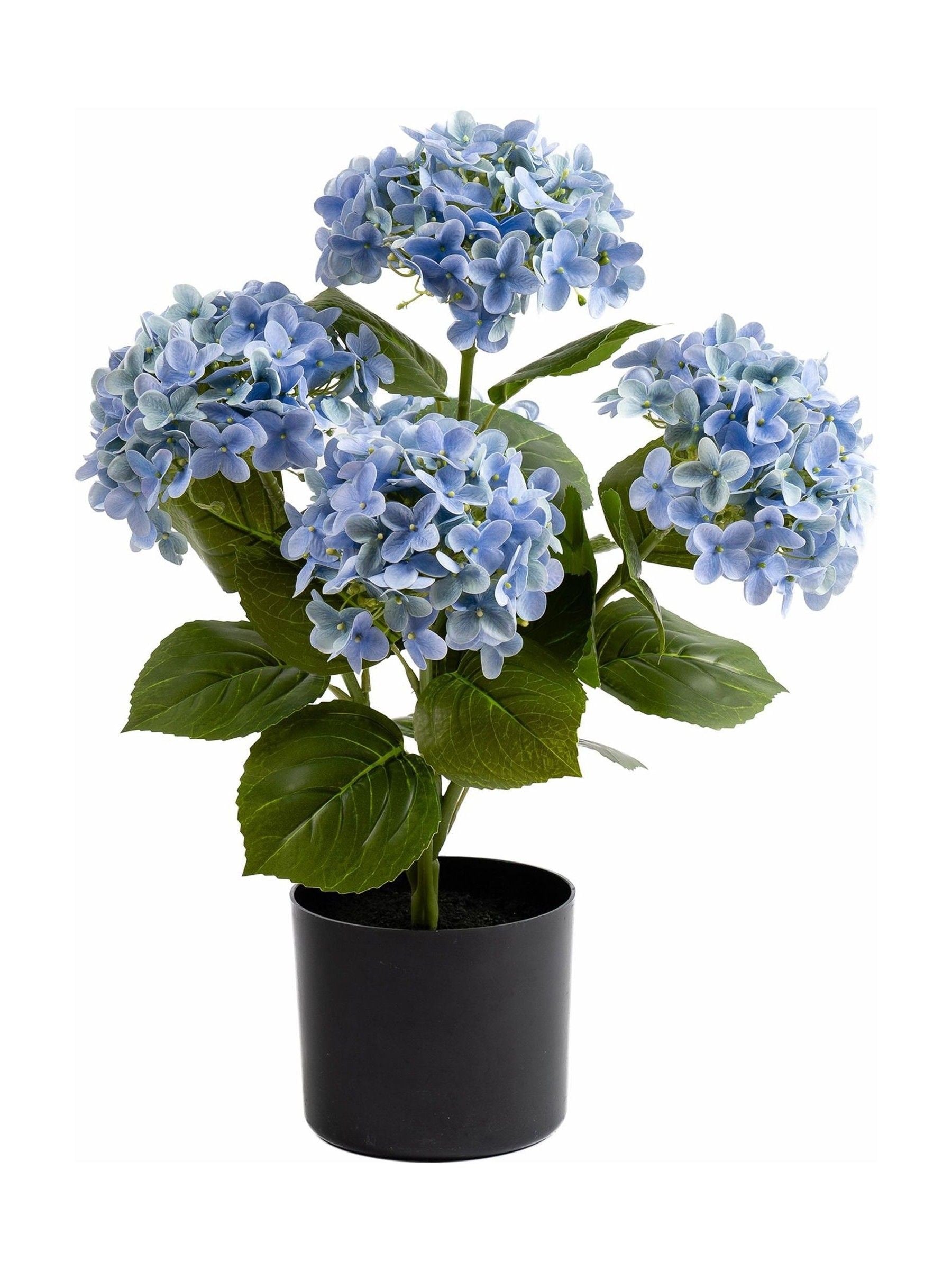 Scottish Everlastings faux blue hydrangea 53cm (British brand)