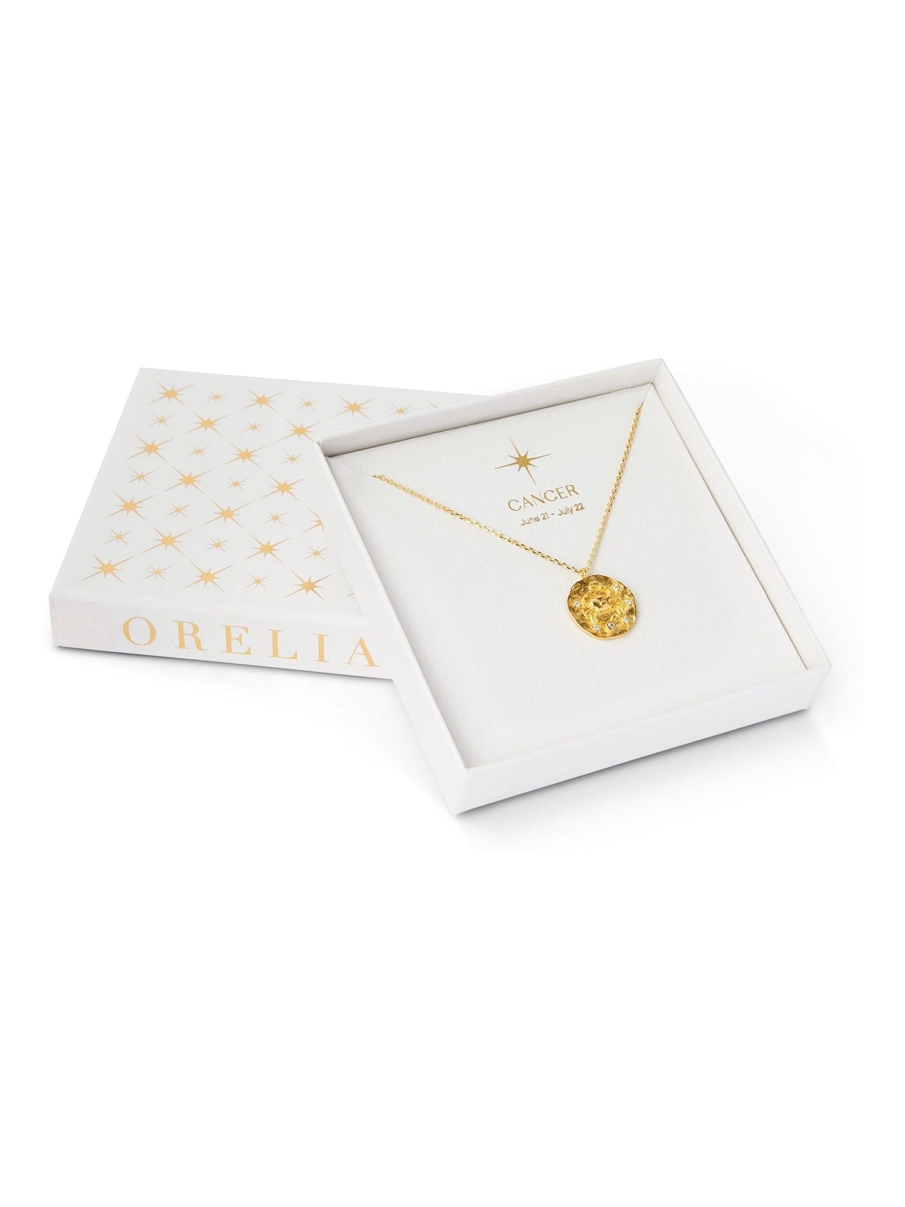 Orelia London Gold Capricorn Zodiac Necklace