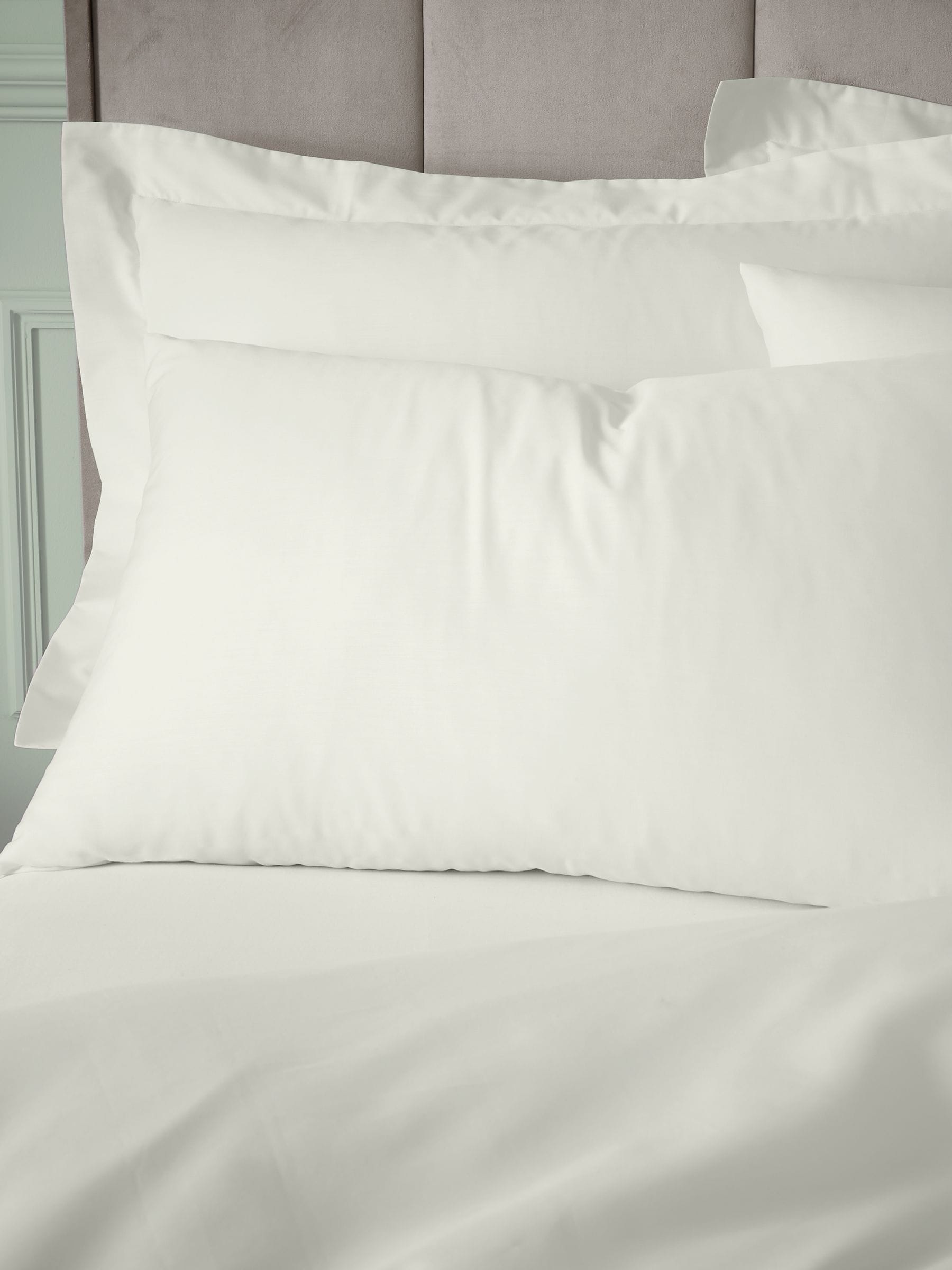 Bianca cotton pillowcases cream 180 thread count - British product