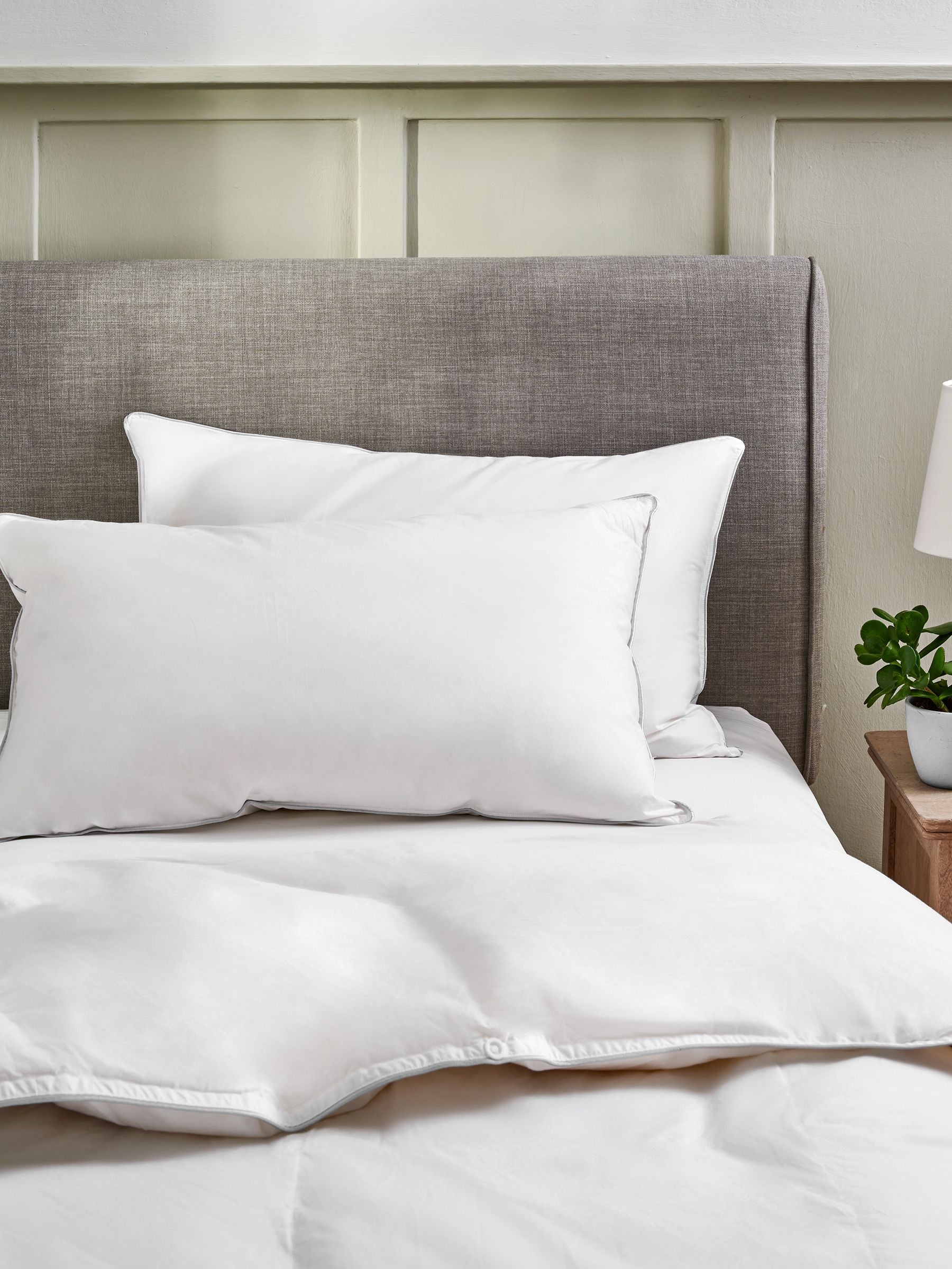 2 Pack Medium Duck Feather and Down Bed Pillows