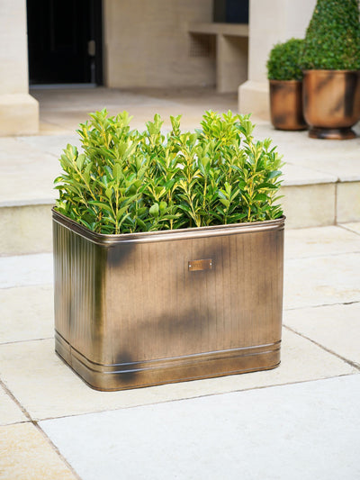 Next Ivyline Copper Garden Hampton Rectangular Metal Planter- Buy online at McGrocer
