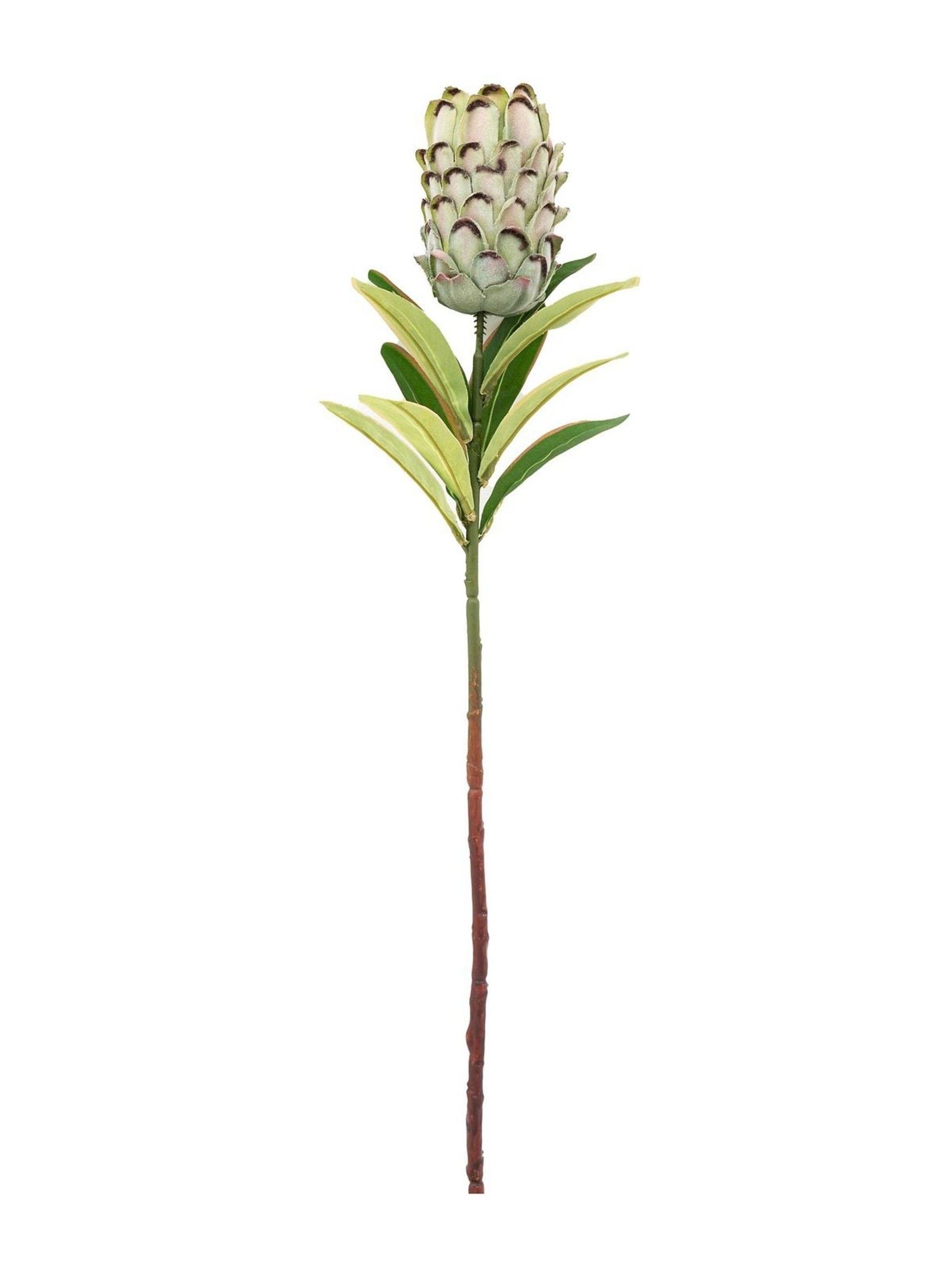 Gallery Home green tropical artificial flowers 12 stems 56cm, imported from the UK