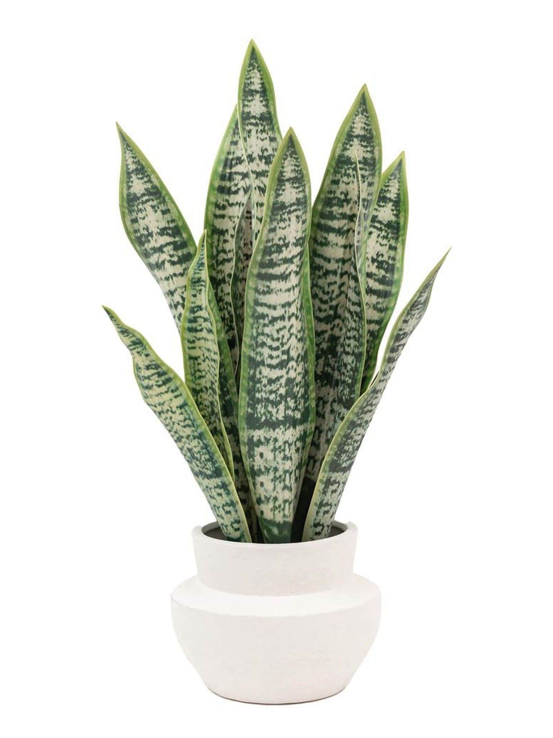 Gallery Home natural faux snake plant in ceramic pot 52cm tall, UK version
