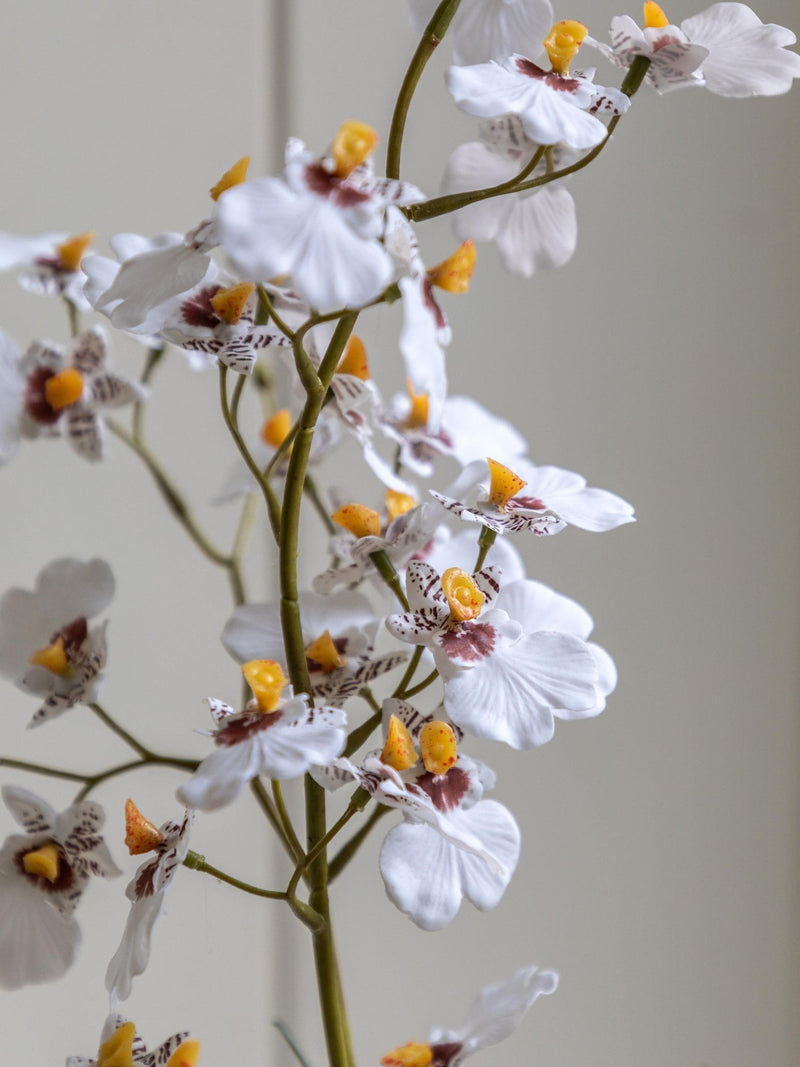 Gallery Home white faux orchid in ceramic pot, UK version