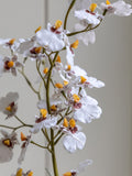 Gallery Home white faux orchid in ceramic pot, UK version