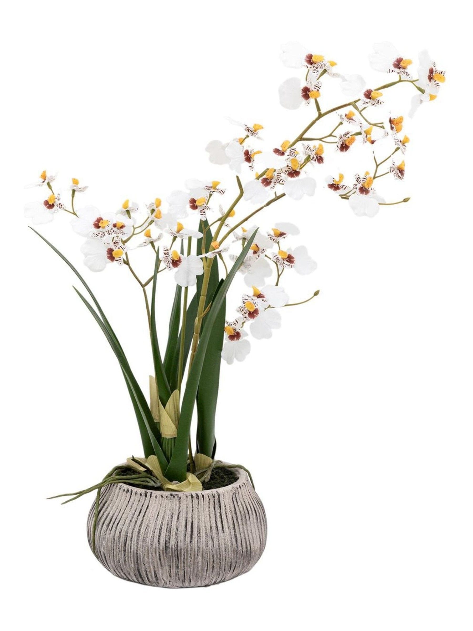 Gallery Home white faux orchid in ceramic pot, UK version