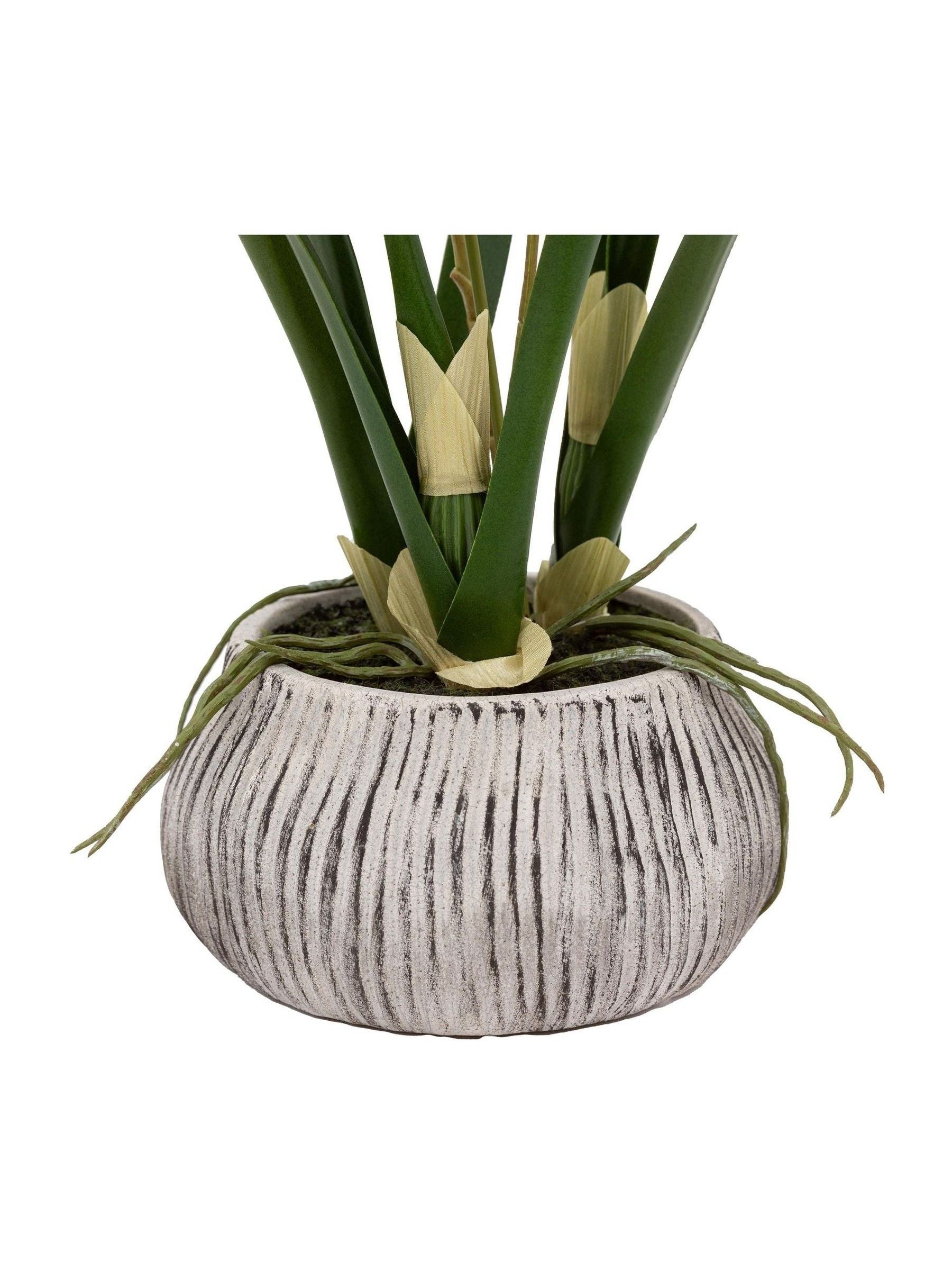 Gallery Home white faux orchid in ceramic pot, UK version