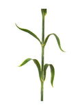 Gallery Home artificial bloom set 12 stems - British product