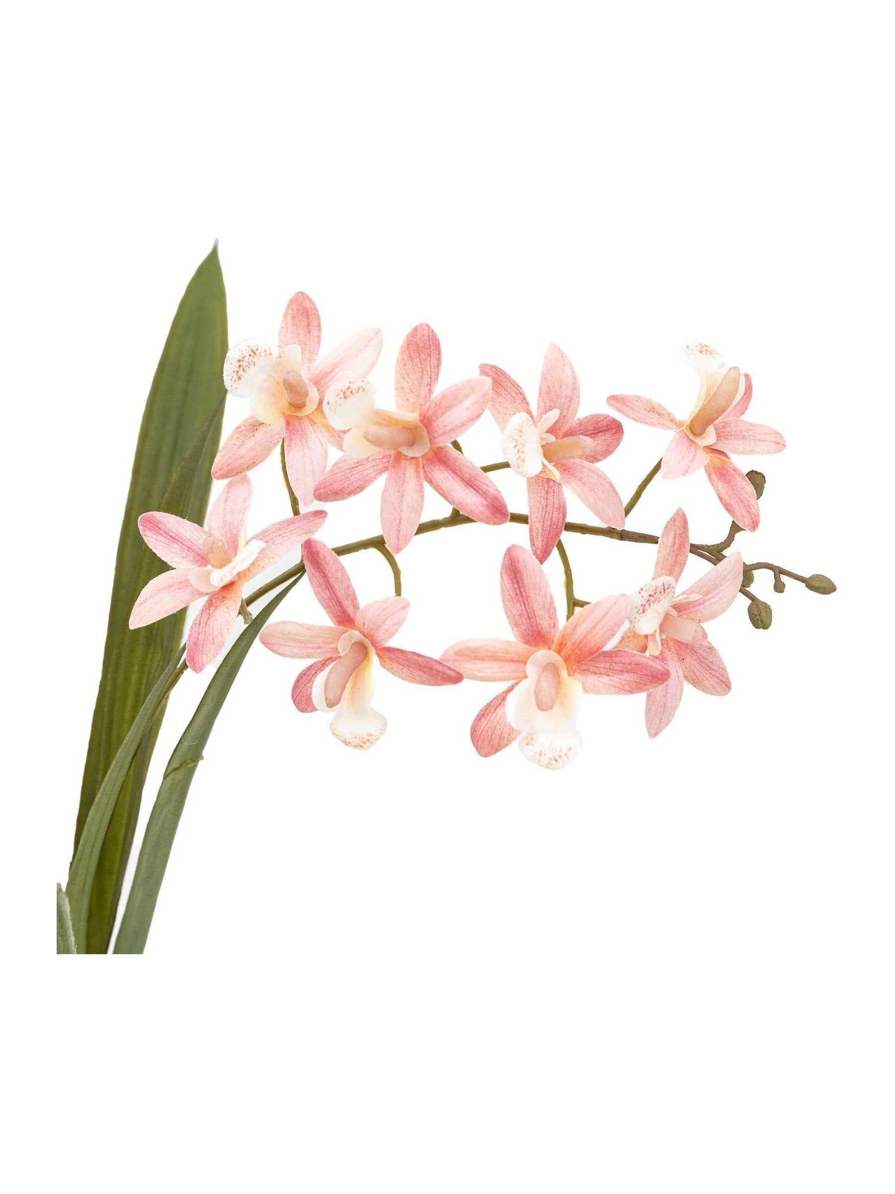 Gallery Home pink faux orchid in ceramic dot pot 40cm, UK version