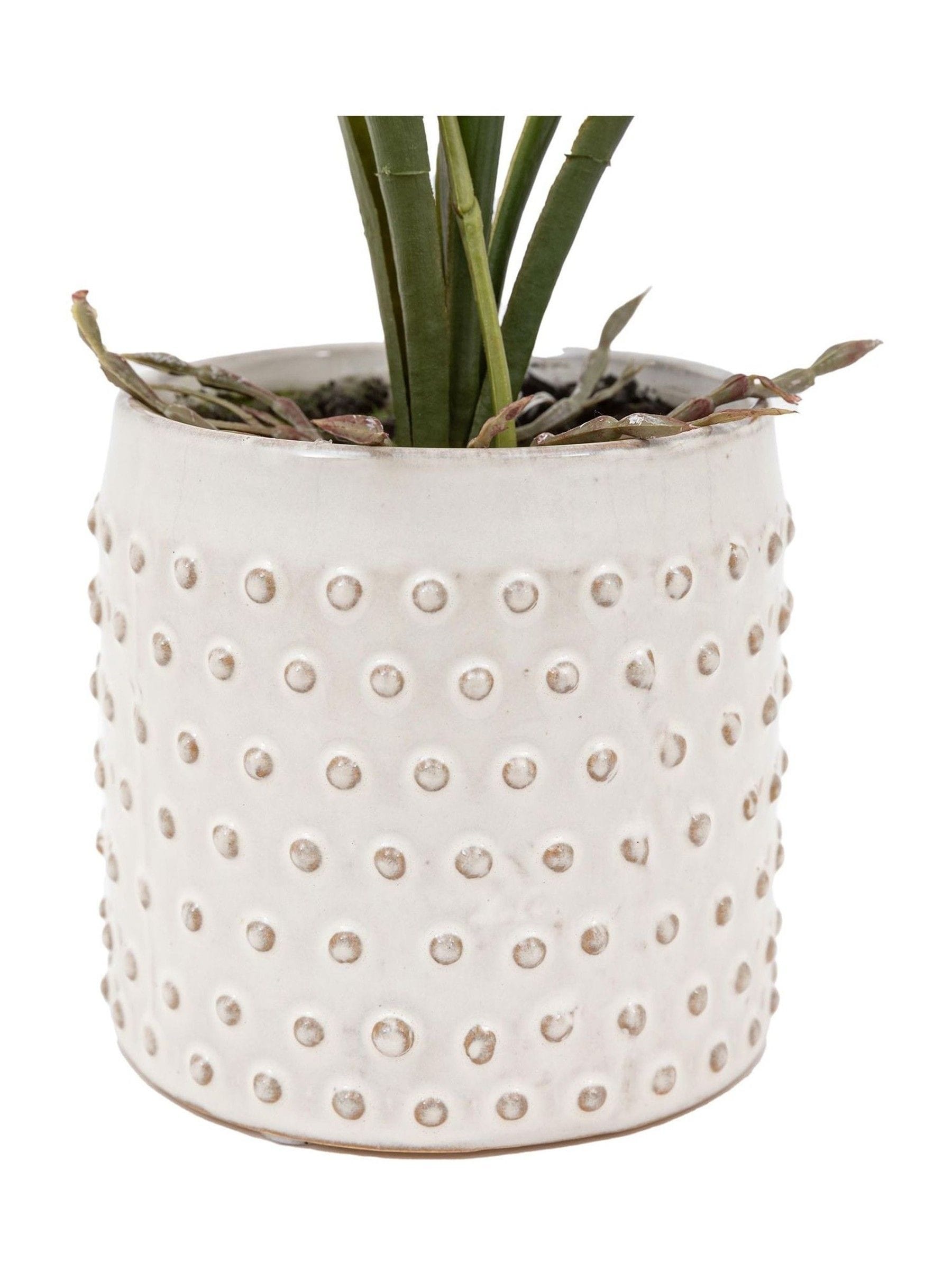 Gallery Home pink faux orchid in ceramic dot pot 40cm, UK version