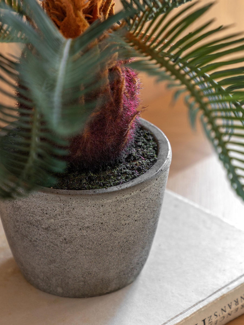 Gallery Home Natural Faux Wide Palm in Concrete Pot 49cm, UK version