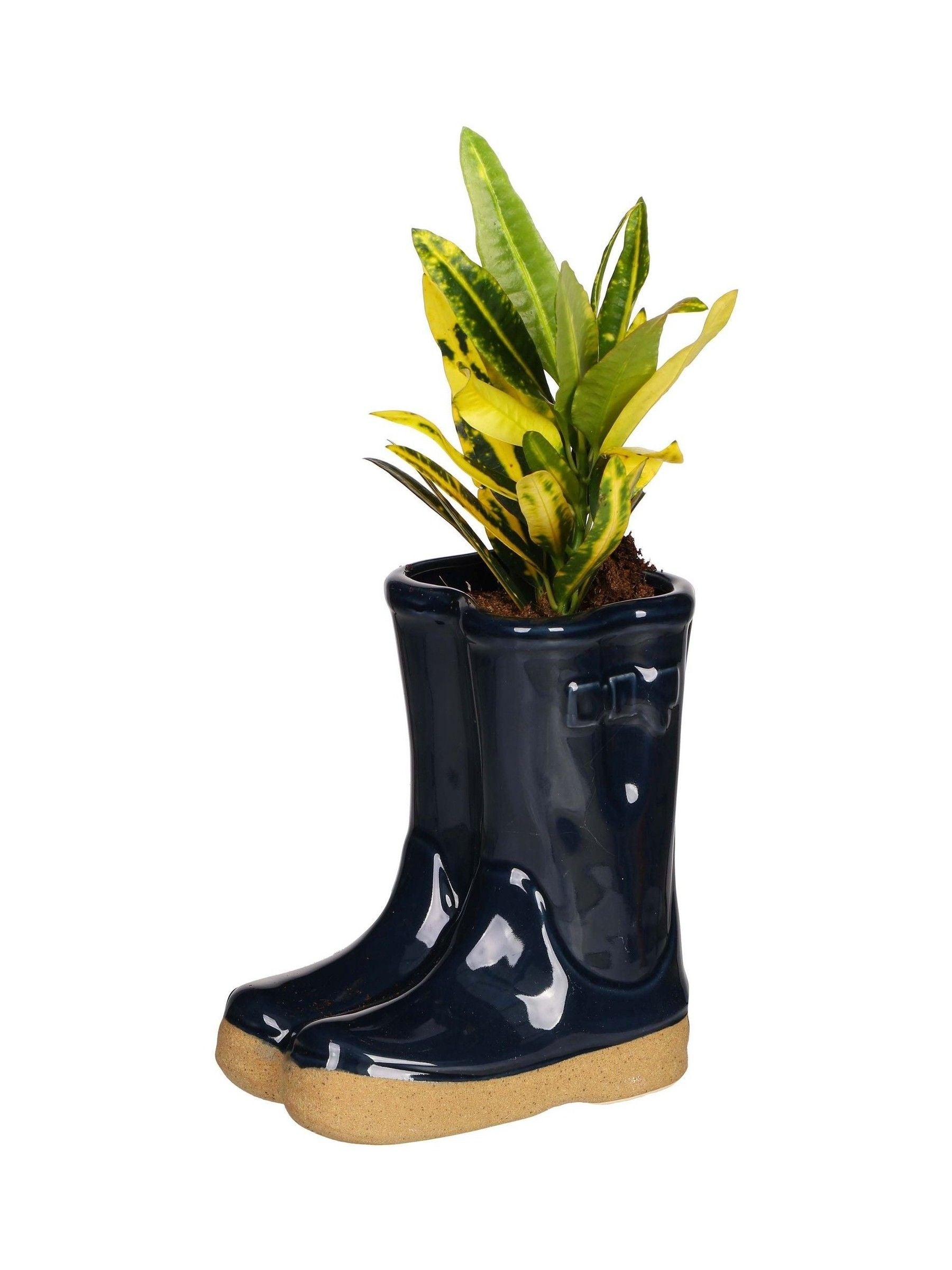 Dibor Blue Wellington small planter ceramic boot, UK version