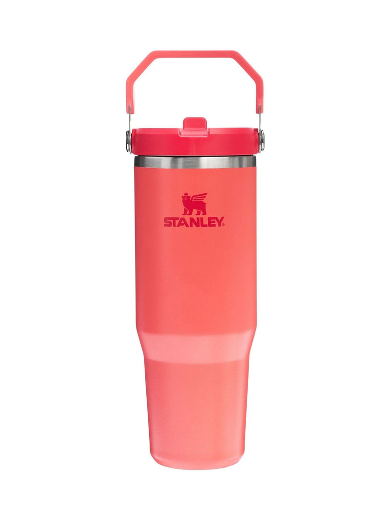 Flip Straw Insulated Tumbler 0.6L with Vacuum Seal