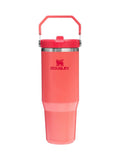 Flip Straw Insulated Tumbler 0.6L with Vacuum Seal