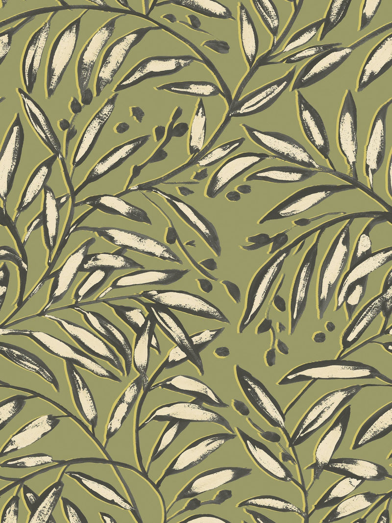 Ohpopsi Olive Lorena Vine Wallpaper