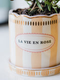 Yvonne Ellen Orange Stripe Planter with Saucer 10.5cm, imported from the UK