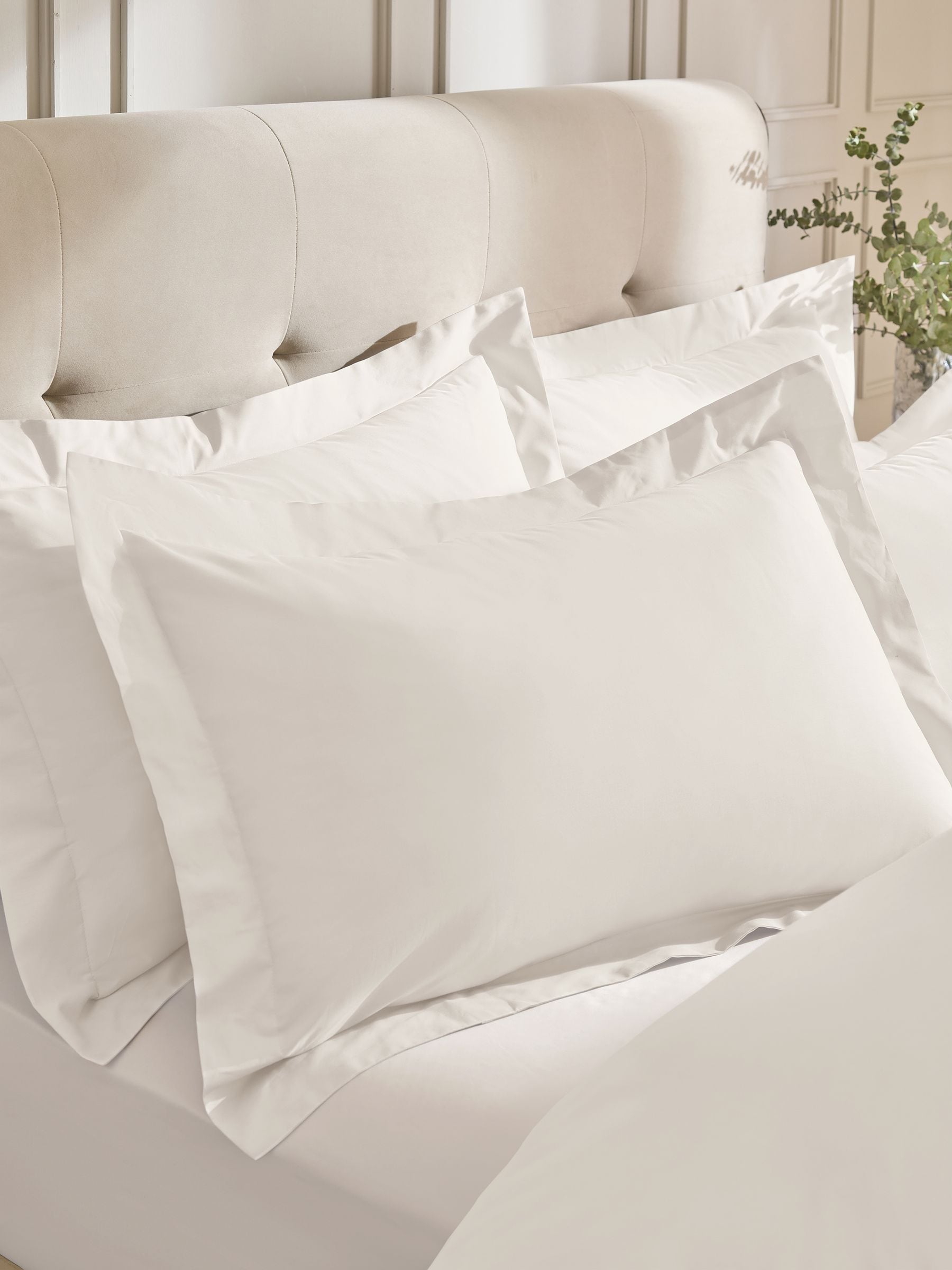 Set of 2 Natural Collection Luxe 200 Thread Count Egyptian Cotton Pillowcases
