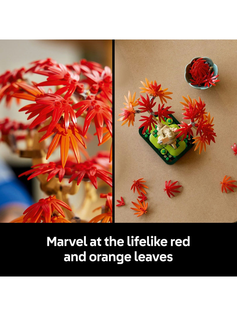 LEGO Botanicals Japanese Red Maple Bonsai Tree set - British product