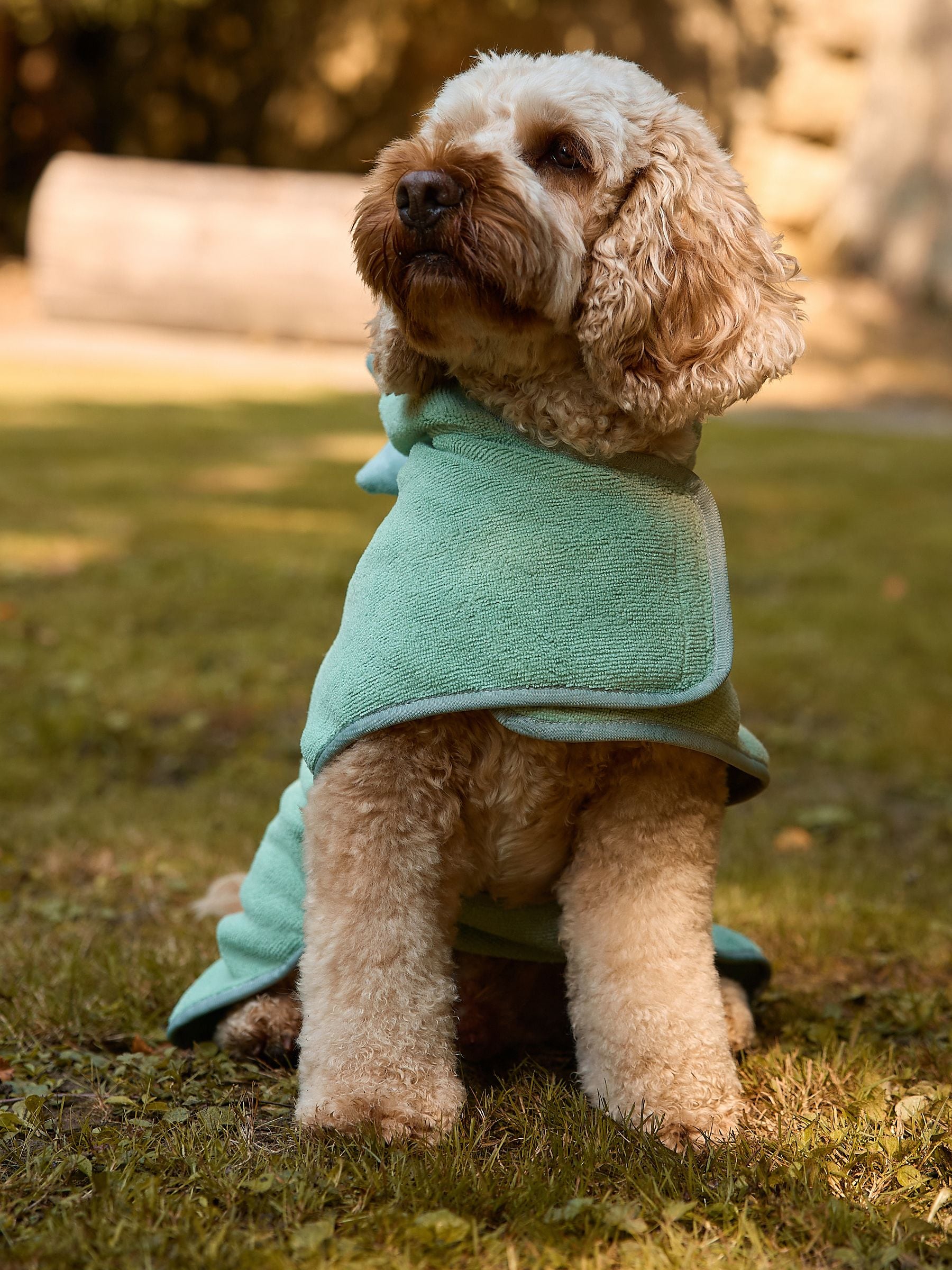 Green dinosaur pet towel robe, 88% polyester, 12% nylon (British brand)