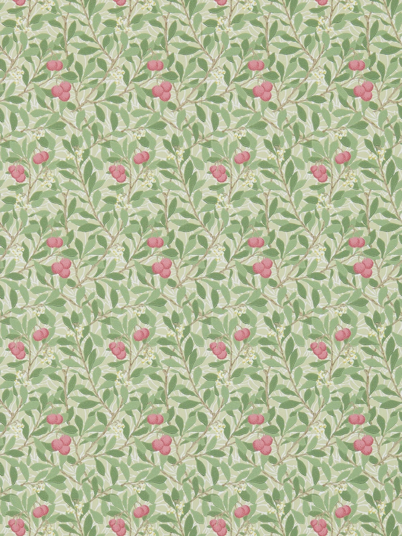 Morris & Co Arbutus Olive Pink wallpaper sample, imported from the UK