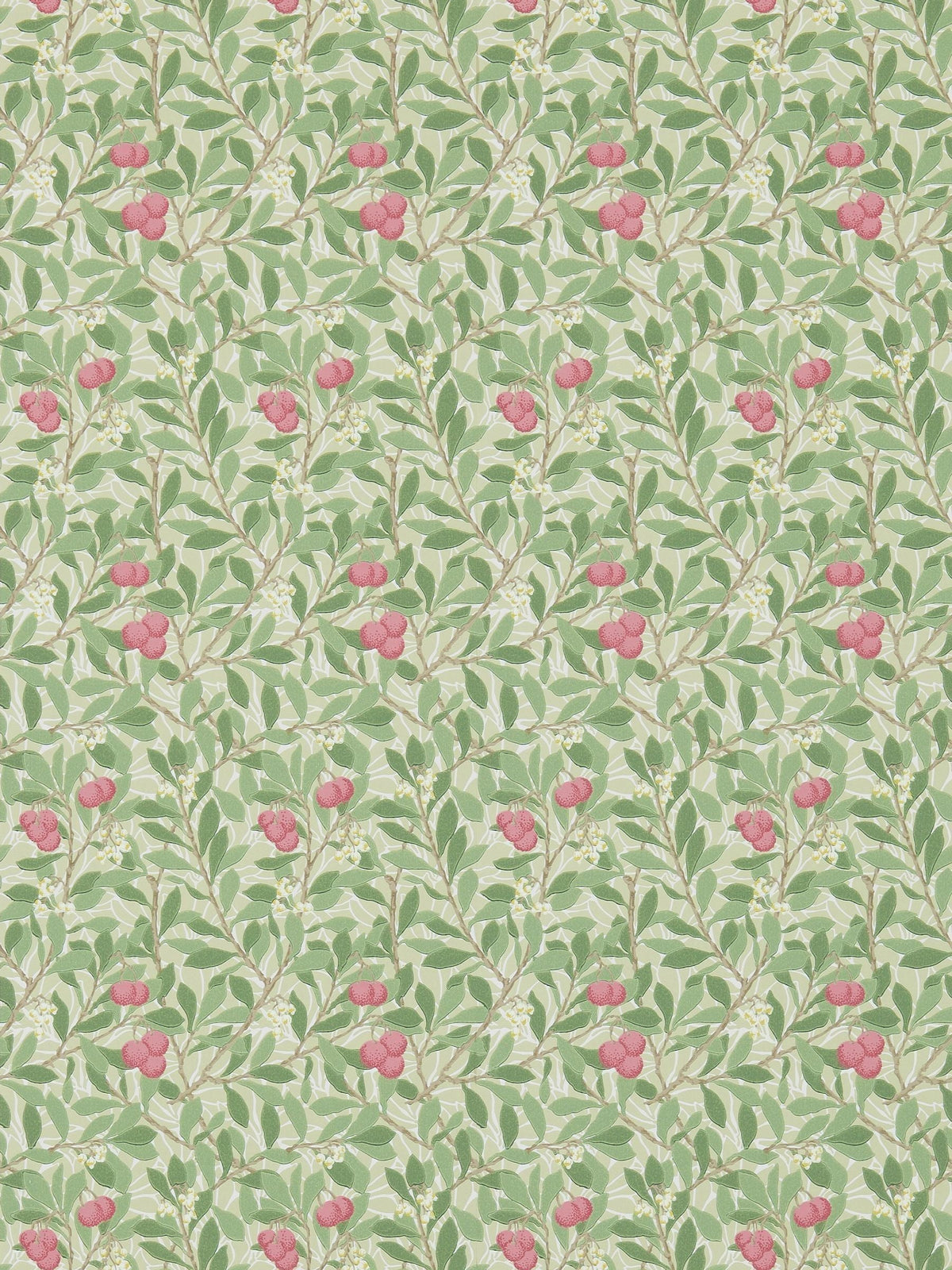 Morris & Co Arbutus Olive Pink wallpaper sample, imported from the UK