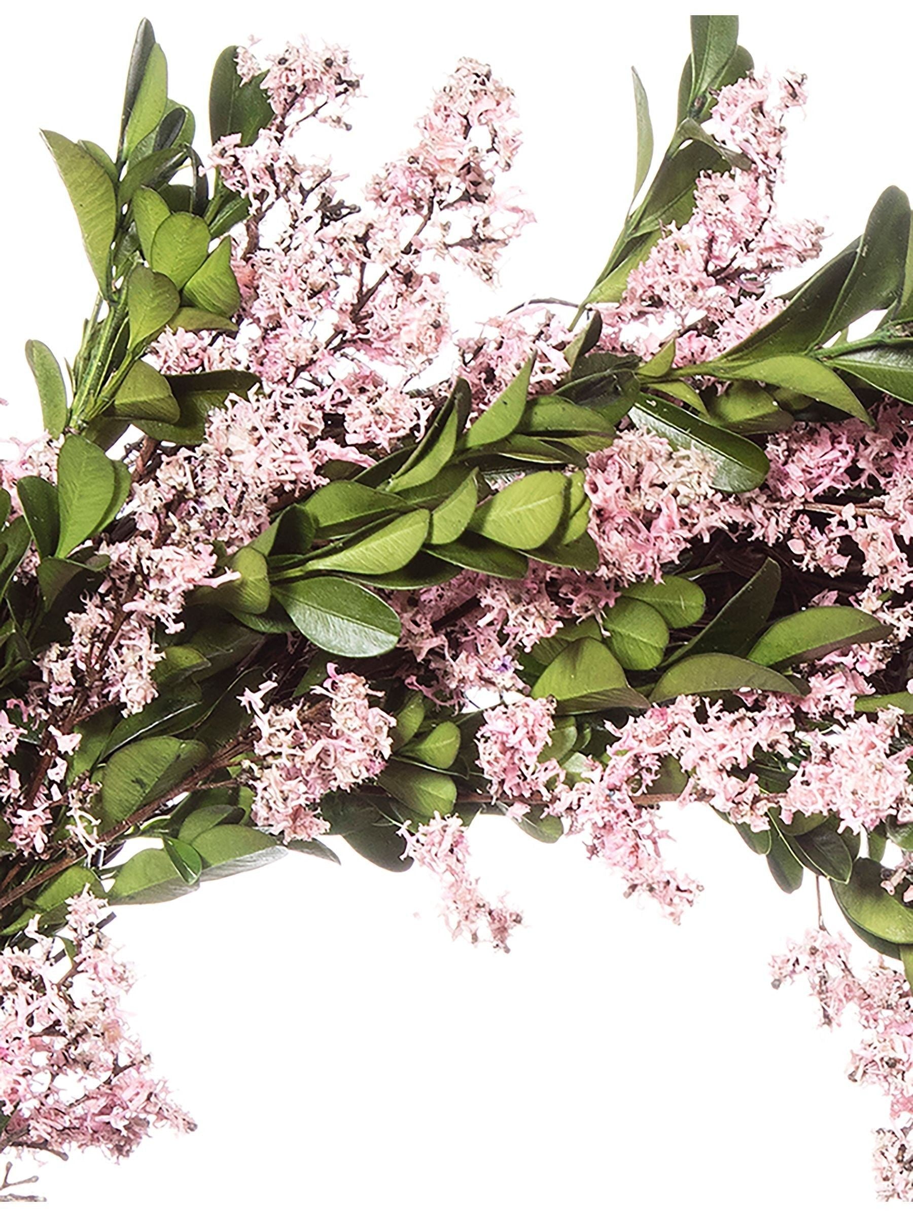 Premier Decorations Ltd 35cm Dried Pink Buxus Leaf Wreath