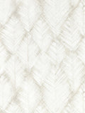 Clarke & Clarke Folius wallpaper sample A4 (British brand)