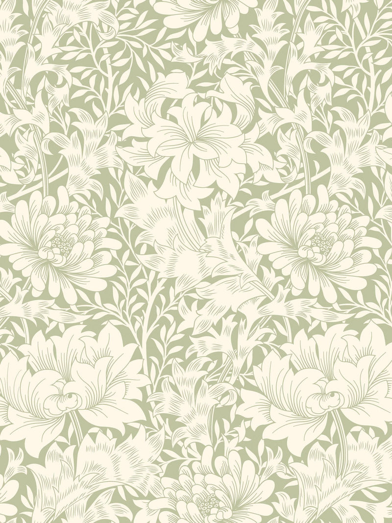 Hoopla Walls wallpaper sage green chrysanthemum 10m (British brand)