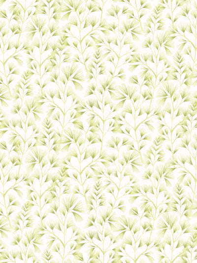 Next Ohpopsi Green Cream Arabella A4 Wallpaper Sample- Buy online at McGrocer