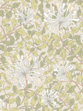 Hoopla Walls Stone Natural Honeysuckle Leaf Trail A4 Wallpaper Sample
