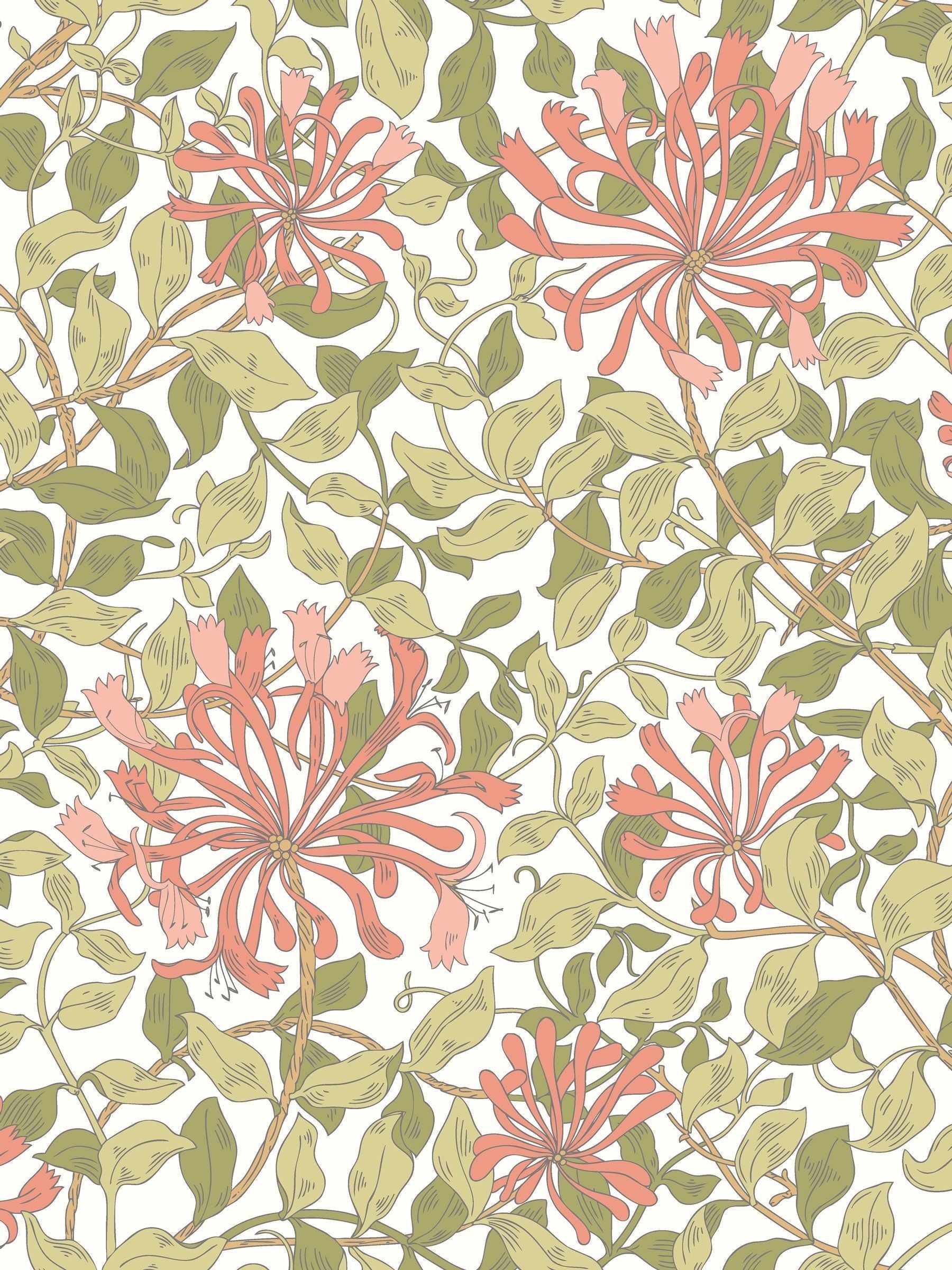 Hoopla Walls wallpaper sample coral pink honeysuckle leaf trail A4 - British product